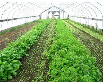 防水保溫被最重要的兩大優(yōu)點您了解嗎？