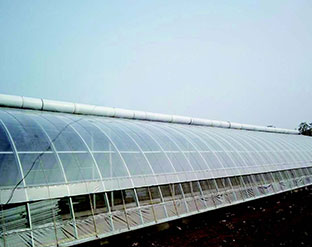 山東農(nóng)大泰安校區(qū)