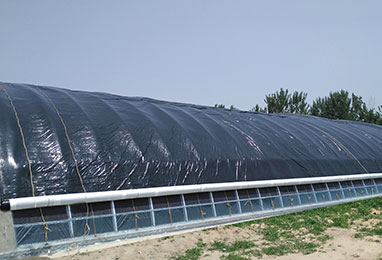 做溫室大棚有什么特別的注意事項嗎？